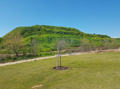 הפארק החדש בהוד השרון. צילום: ניצן ינקו
