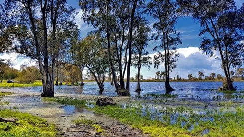 בריכת חורף טבעית בפארק השרון (צילום: איתמר רותם)