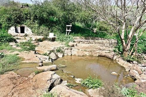המעין הנסתר. צילום: שרון צור