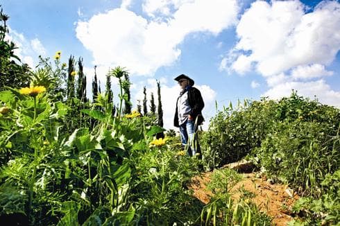 השביל בגני תקוה. צילום: ריאן