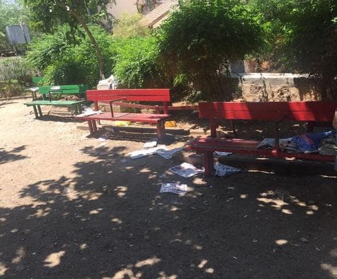 גן התות. צילום: דניאל רוטמן