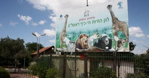 חי כיף ראשון לציון | צילום אבי מועלם