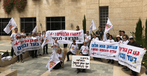 דאגה לאומית רחבה לעתיד העמק. מפגינים נגד ההקמה להקים שדה תעופה, צילום: דוברות עמק יזרעאל