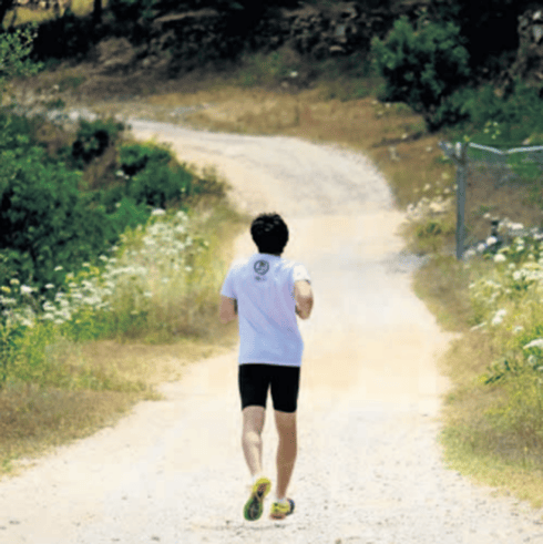 יער הקדושים. צילום: יואב דודקביץ' יער הקדושים. צילום: יואב דודקביץ'