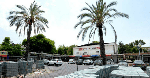 צילום: קובי קואנקס