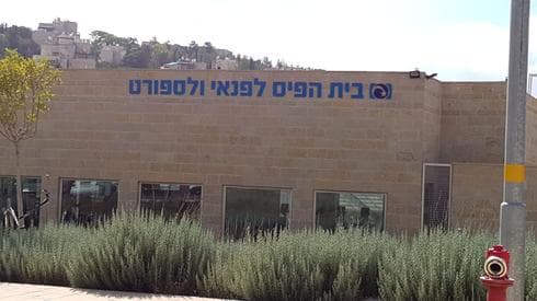 הבריכה במרכז הקהילתי בארמון הנציב. צילום: ליהי שי שקלרניק