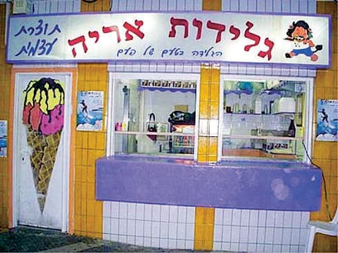 גלידת אריה. הילדים ליקקו גלידה והתגלגלו במדרונות | צילום: יעל גרטי