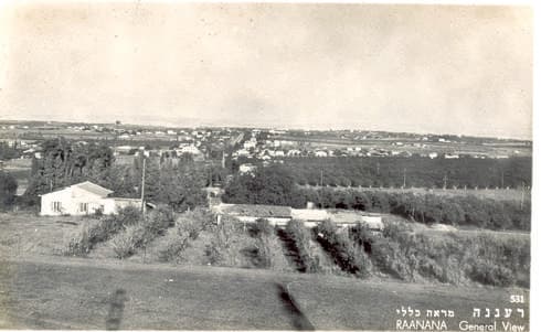 מבט על העיר, 1948