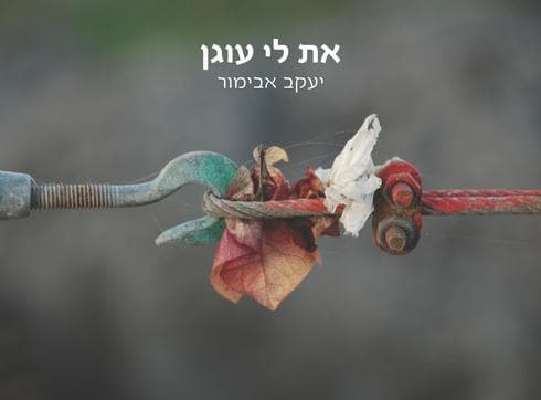 צילום: פרטי