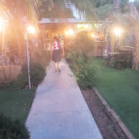 צילום: אשר קשר
