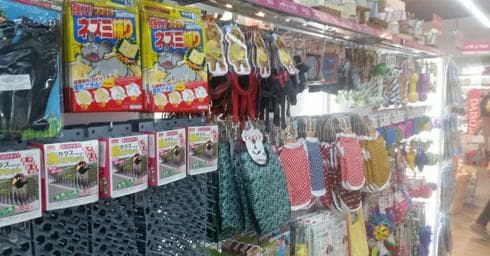אנחנו לא יודעים מה זה בדיוק כי הכיתוב ביפנית, אבל  יש מי שיקנה | צילום שי אלבלינג