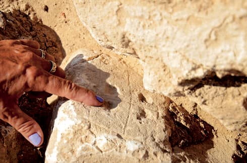 משחק מחדר המשחקים | צילום: אבי מועלם משחק מחדר המשחקים | צילום: אבי מועלם