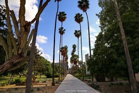 גן המייסדים (צילום: איתמר רותם)