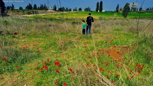 גבעת הצבעוניים (צילום: איתמר רותם)