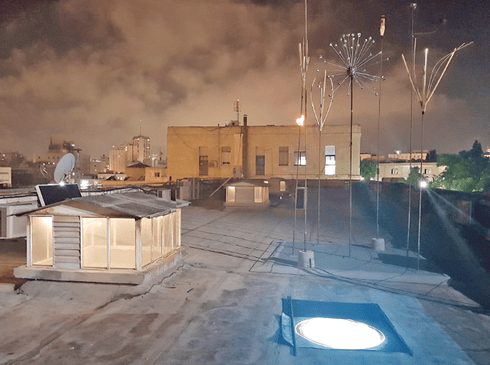שלמה המלך. פרחים ומנגינות. צילום: רחלי ריף שלמה המלך. פרחים ומנגינות. צילום: רחלי ריף