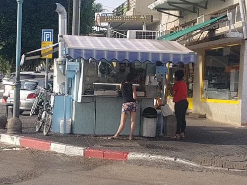 משאל או לא - תמיד יישאר המלך | צילום: אריאל ימיני