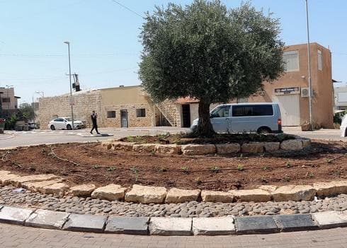 מוקייבלה (צילום: דוברות המוא"ז הגלבוע)