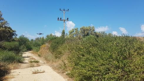 צילום: אסף קמר YNET