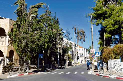 רחביה. פינות חמד רבות. צילום: שלומי כהן