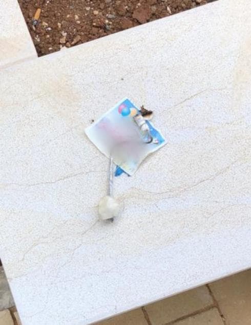 צילום: דוברות המשטרה