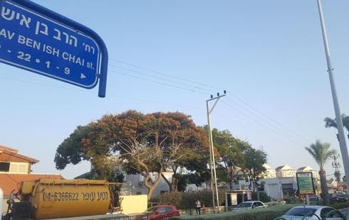  יחזור להיות הראשונים | צילום: איתמר רותם