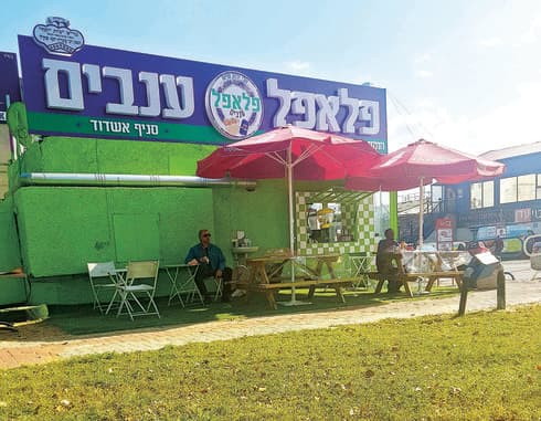 "פלאפל ענבים". למרבה השמחה לא צריך להיות קופירייטר על מנת לעשות פלאפל טוב | צילום: אשר קשר