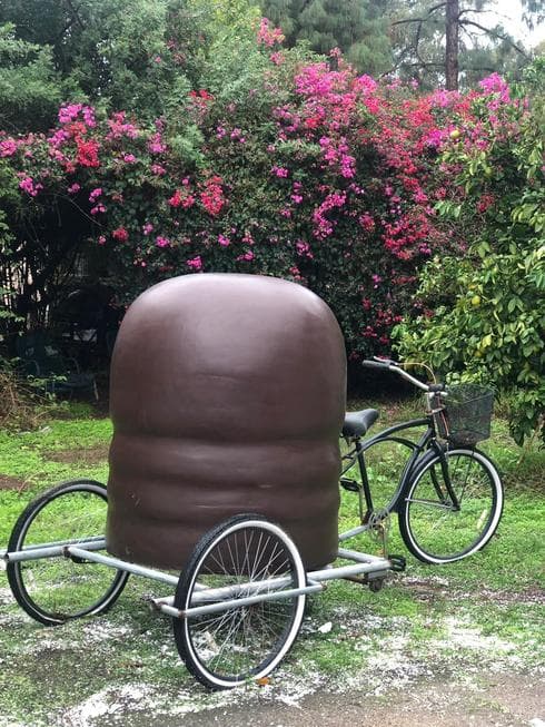 הקרמבו הכי גדול | צילום: לירז אברמוביץ'