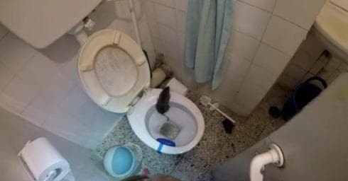 הפתעה באסלה | צילום: איתי פוטש