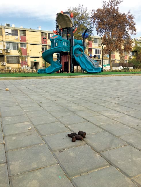 שאריות בסמוך לפארק במרבד הקסמים. צילום: כרמל קושניר