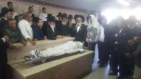 צילום: רפאל חתוכה