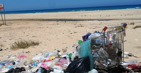 צילום: המשרד לאיכות הסביבה
