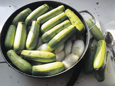 צילום: ריאן