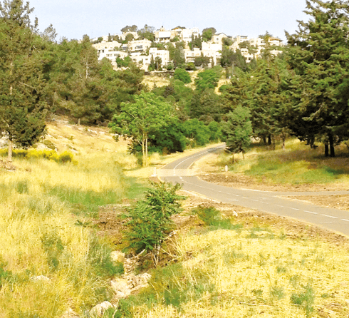 היער בנחל צופים. מאבק רחב היקף. צילום: מתוך ויקיפדיה