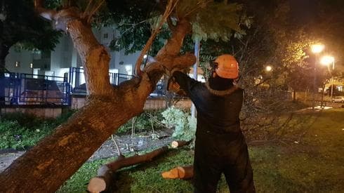 פגעי מזג האוויר ברחובות | צילום: דוברות עיריית רחובות