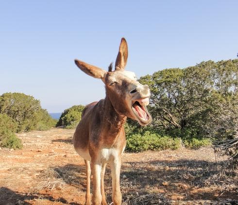 אילוסטרציה. צילום: shutterstock