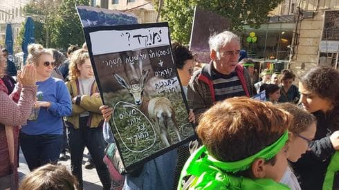המאבק נגד בניית פארק מוצא. צילום: הדס בן ששון