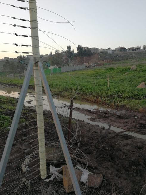 צילום: אלבום פרטי