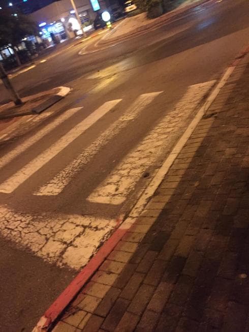 צילום: אור ירוק