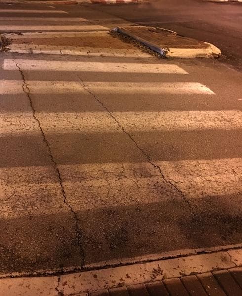 צילום: אור ירוק