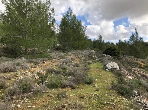 עין יעל. זירת האירוע. צילום: לירן תמרי