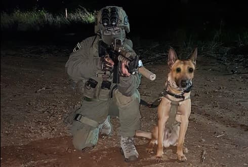 הכלב זילי | צילום: דוברות המשטרה