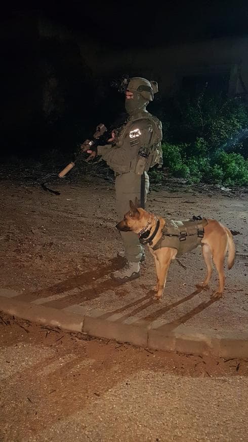הכלב זילי | צילום: דוברות המשטרה