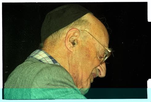 פרופ' ישעיהו לייבוביץ'. צעקות רמות | צילום: אפי שריר