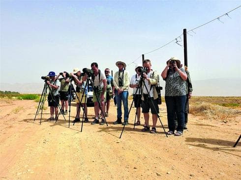 צילום: דב גרינבלט, החברה להגנת הטבע