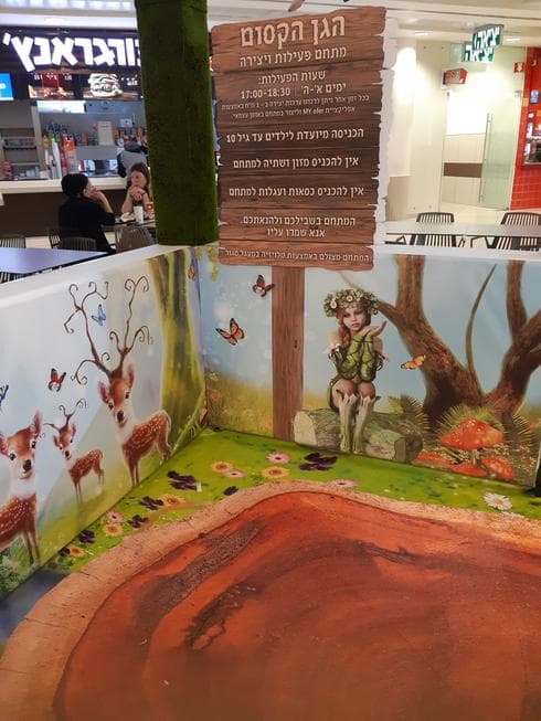 צילום: אסף לוי