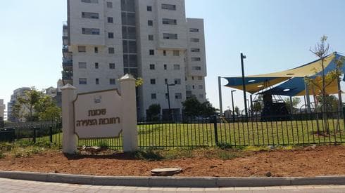 שכונת רחובות הצעירה | צילום: אביגיל קדם