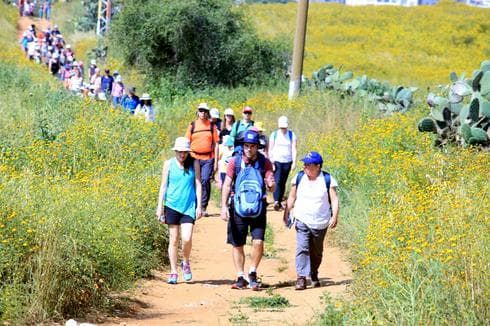 צעדת האביב רחובות | צילום: דוברות עיריית רחובות