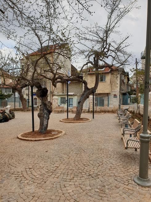 גן התות המשופץ (צילום: באדיבות מנהל קהילתי לב העיר)