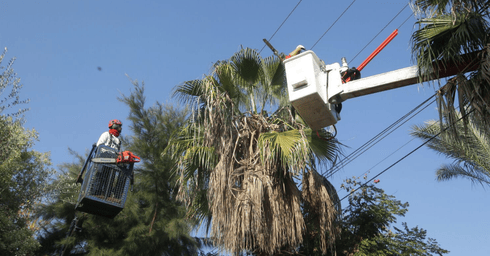צילום: יוסי וייס, חברת החשמל