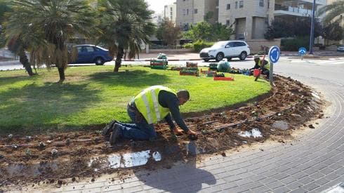שותלים במרץ | צילום: באדיבות עיריית רחובות
